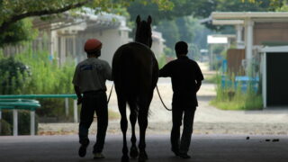 「競馬セブン(七騎の会)」などの競馬予想屋は馬のどういったところをみているのか？主要トレセンだけでなく、外厩情報も？