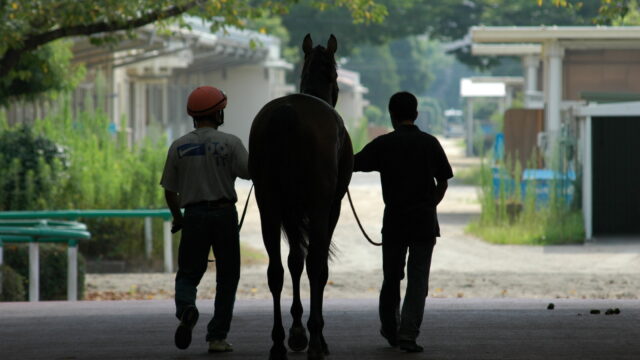 「競馬セブン(七騎の会)」などの競馬予想屋は馬のどういったところをみているのか？主要トレセンだけでなく、外厩情報も？